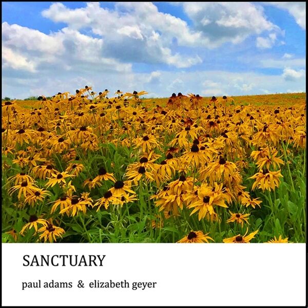 Cover art for Sanctuary